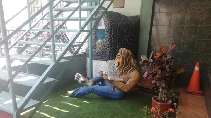 Retiran a León Lector del distrito de Paucapata