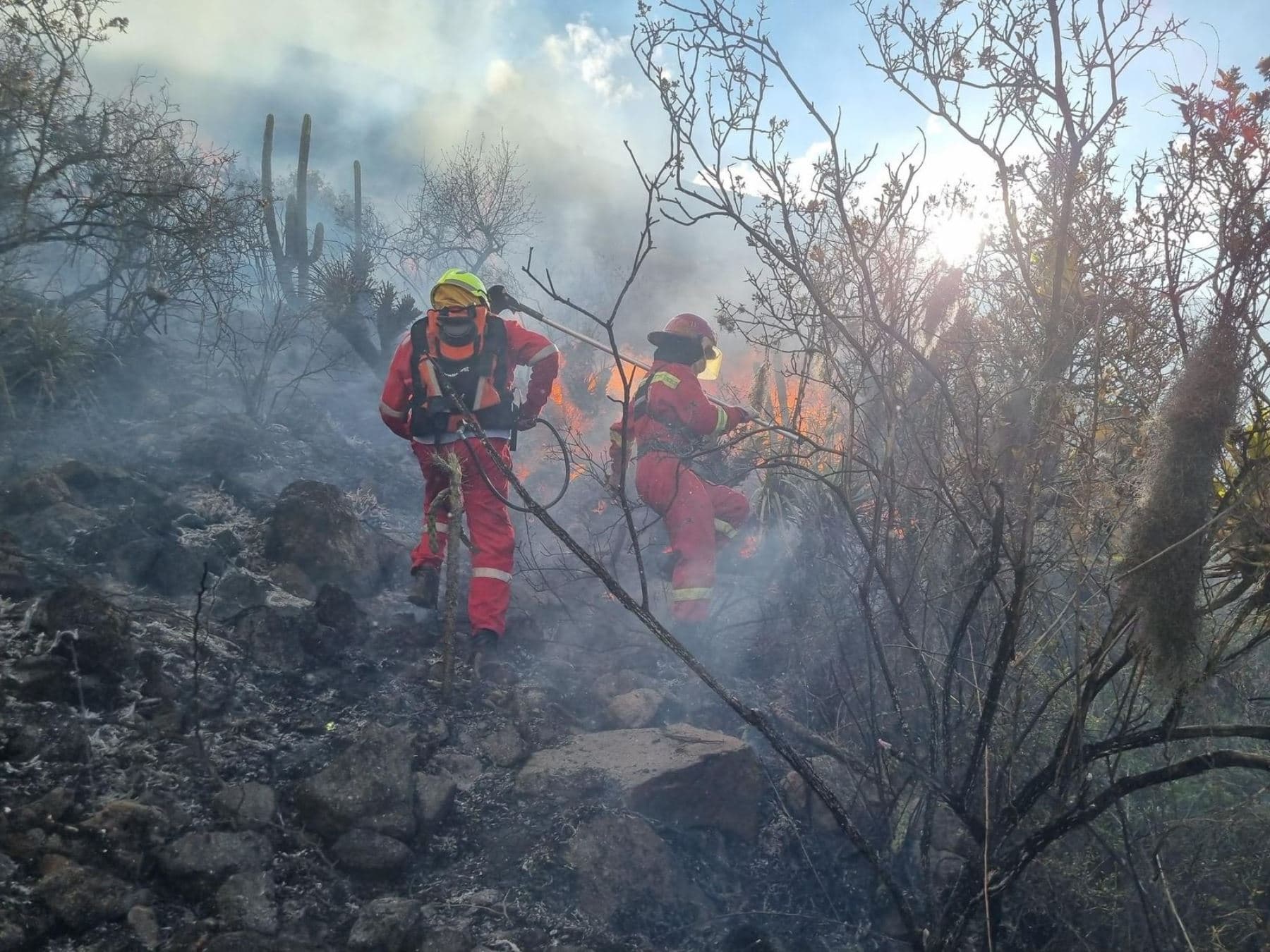 Sofocaron incendios forestales en seis departamentos del país