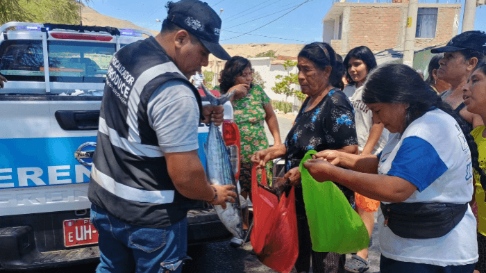 Decomisan casi 35 toneladas de bonito en plena veda en Arequipa