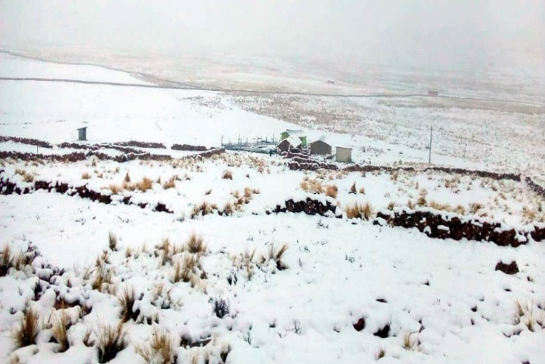 Nevadas impiden paso vehicular en Caylloma