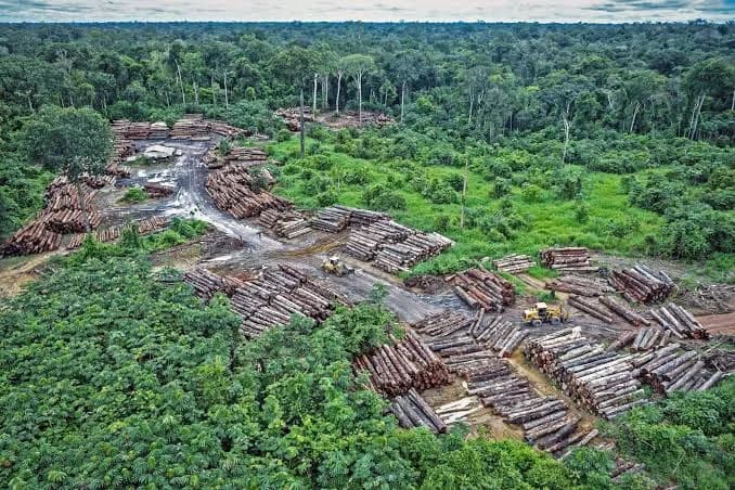 Amazonia de Brasil en su nivel más bajo desde 1988