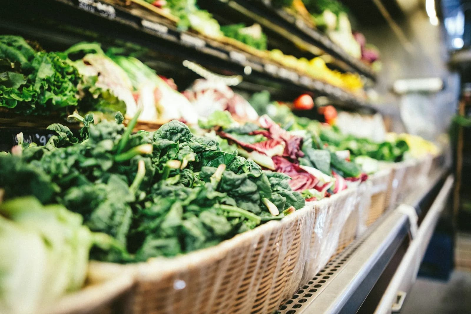 Conservación de alimentos: la vida útil que no puede fallar
