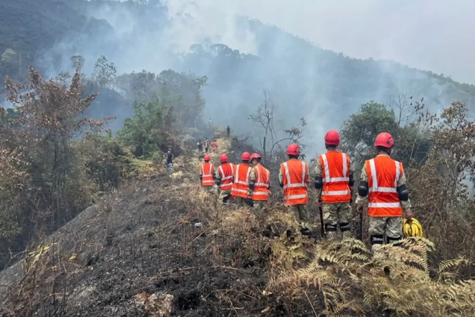 Perú reporta cero incendios forestales activos