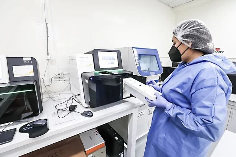 Francia confirma primer caso humano del virus Shamonda
