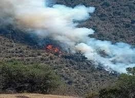 Incendio forestal se reactiva en Curahuasi y amenaza comunidades