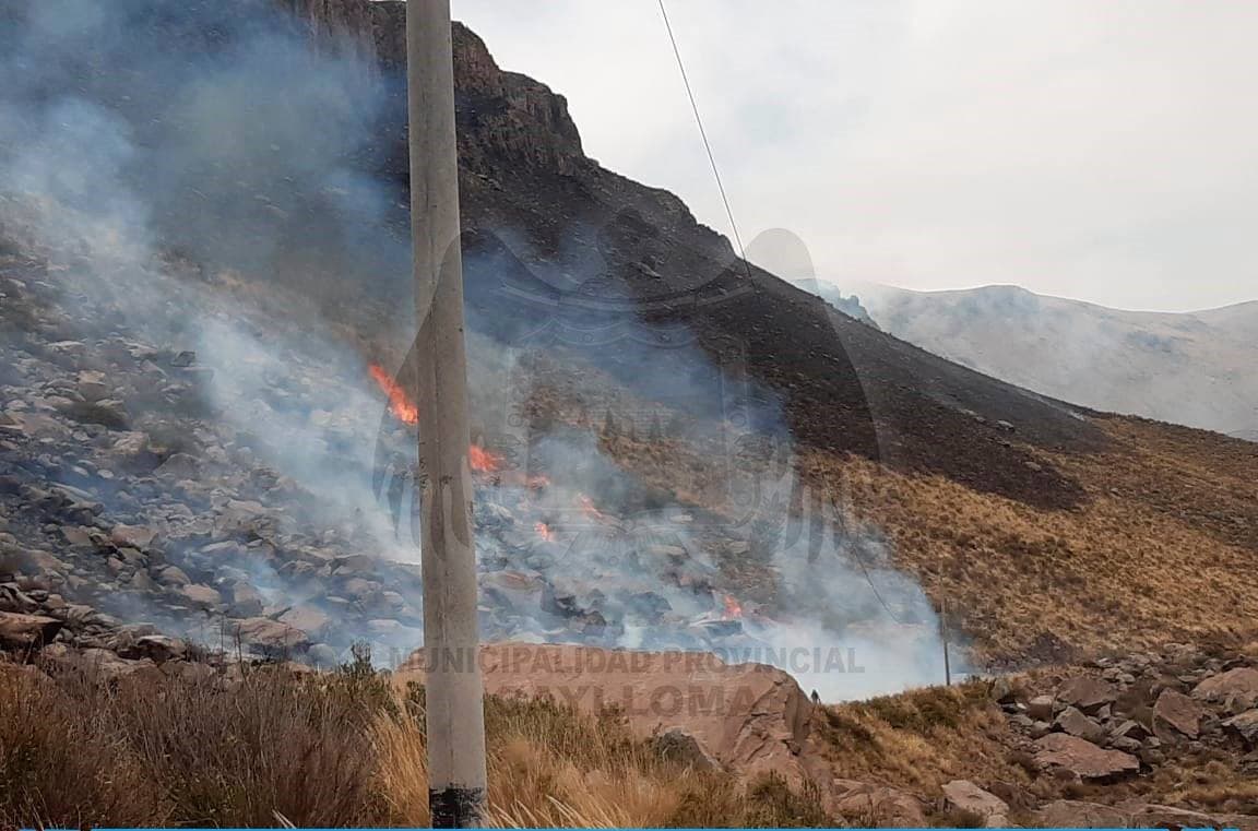Logran controlar incendio forestal en Caylloma