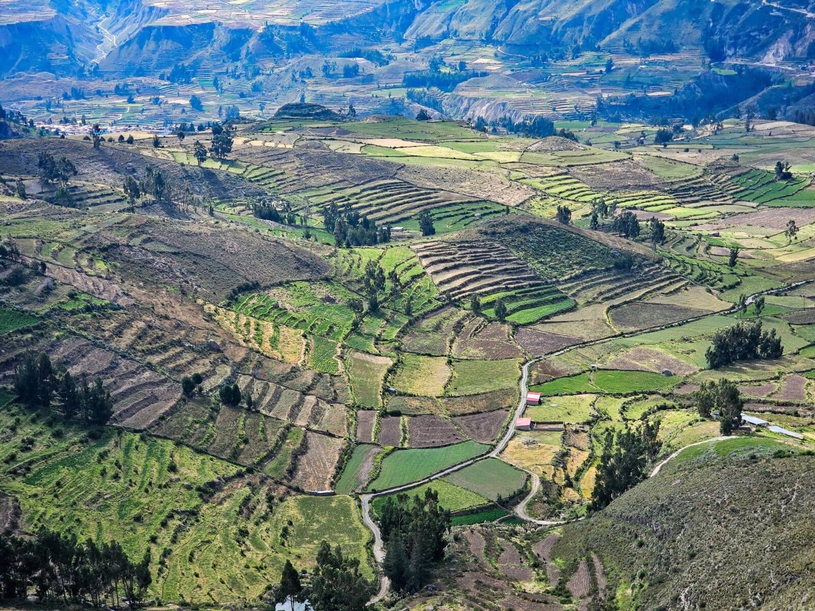 Autoridades de Arequipa verán la mejor opción para Majes - Siguas