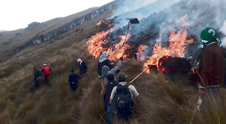 Controlaron incendio forestal en santuario nacional Ampay