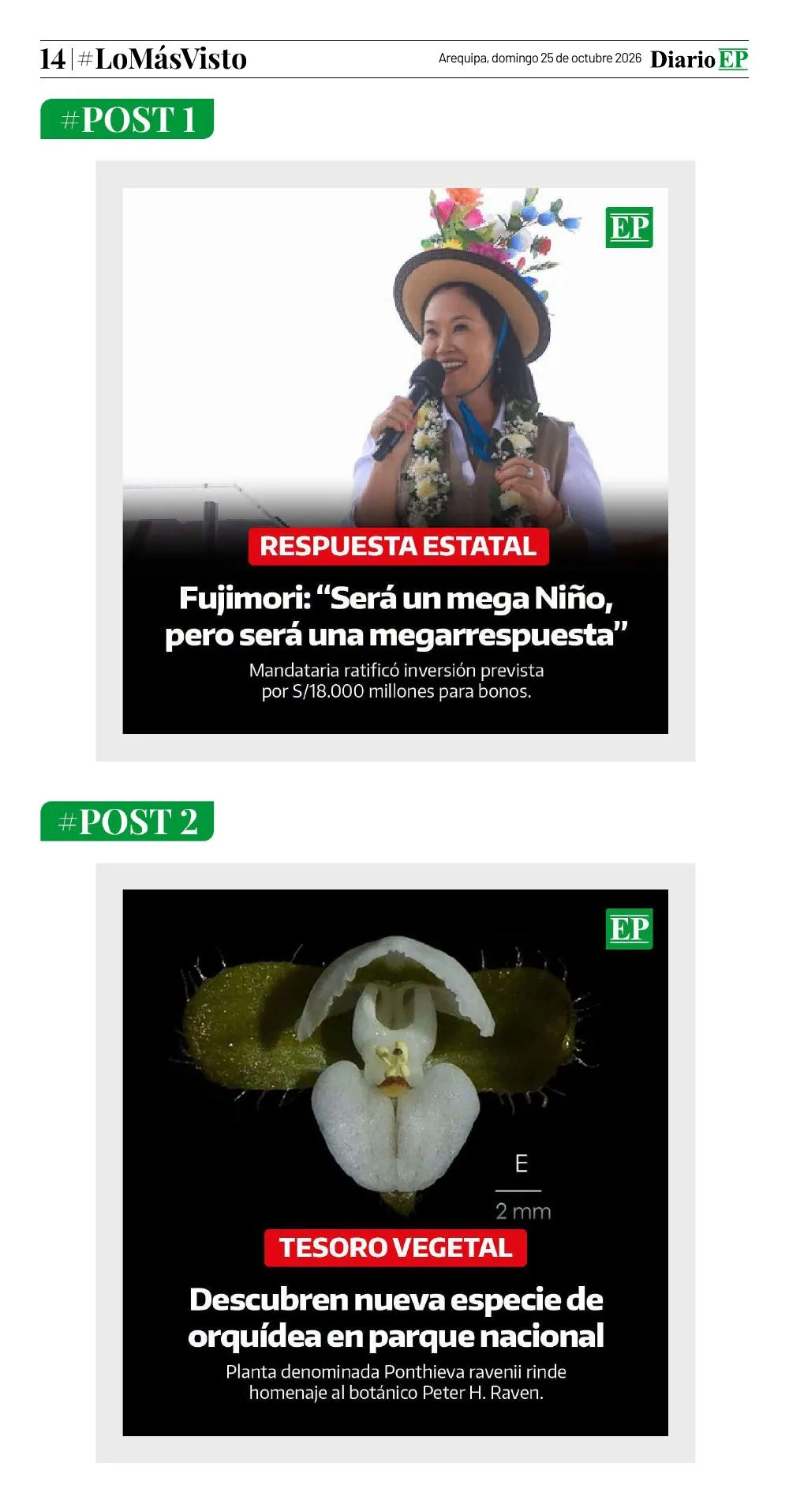 Edición impresa — página 14